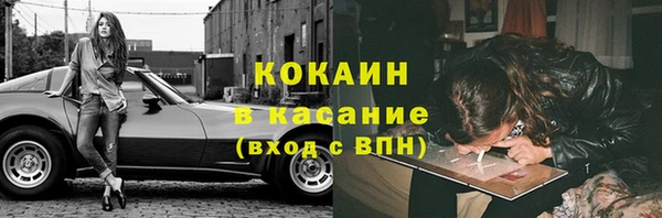 амф Пестово