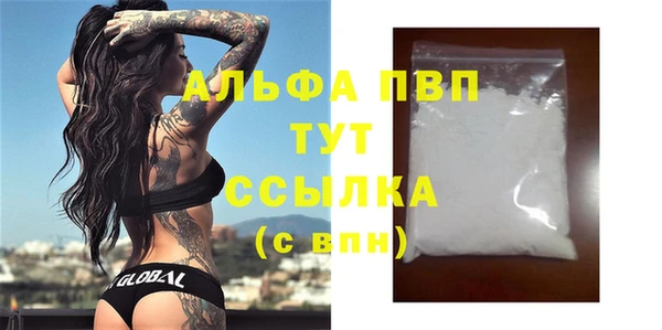 прущие грибы Покров