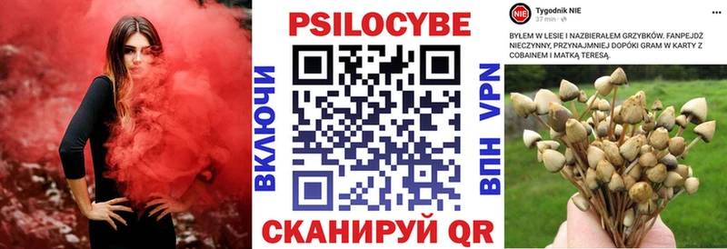 Псилоцибиновые грибы ЛСД  Купить где  Новороссийск 